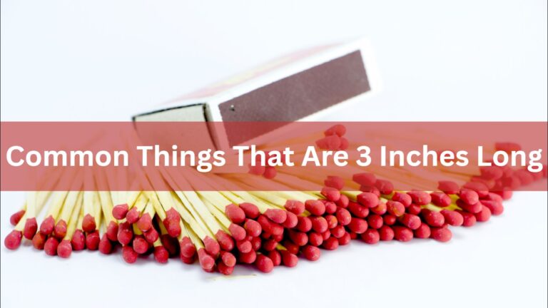 9 Common Things That Are 3 Inches Long