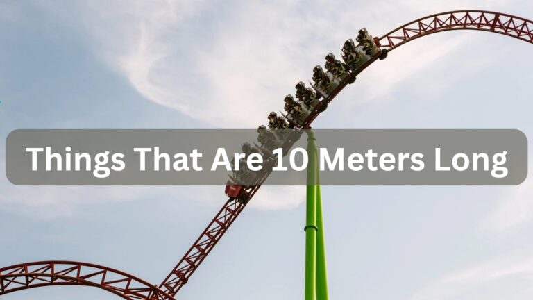 13 Common Things That Are 10 Meters Long