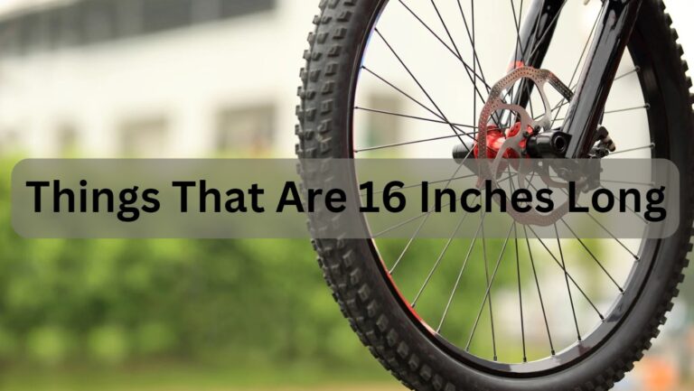 10 Well-Known Things That Are 16 Inches Long