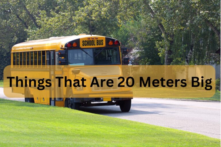9 Common Things That Are 20 Meters Big