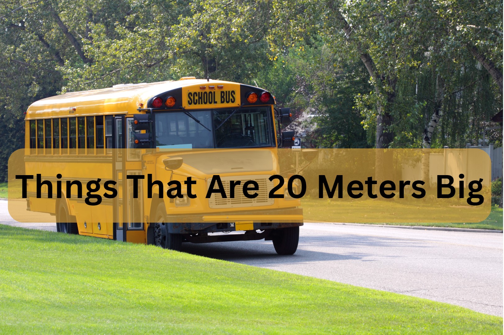 Things That Are 20 Meters Big