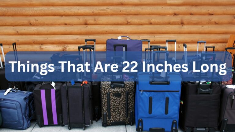 10 Common Things That Are 22 Inches Long