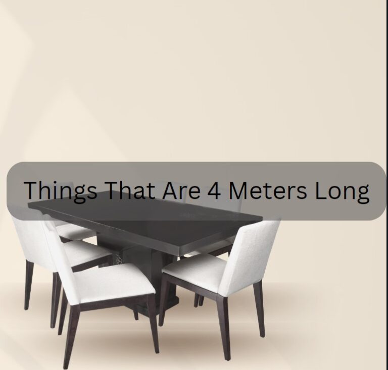 8 Common Things That Are 4 Meters Long