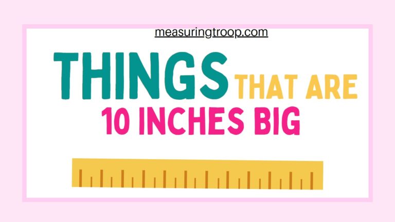 9 Common Things That Are 10 Inches Big