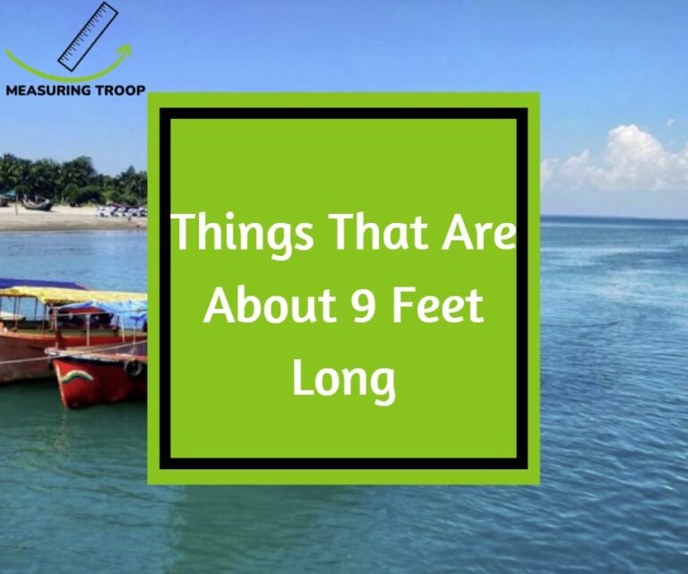 8 Common Things That Are 9 Feet Long