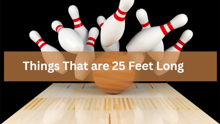 8 Everyday Things That are 25 Feet Long