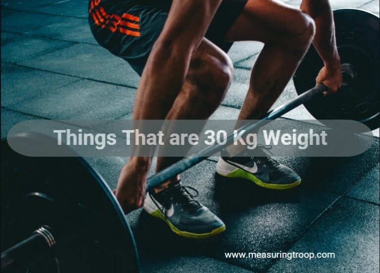List of 10 Things That are 30 Kg Weight