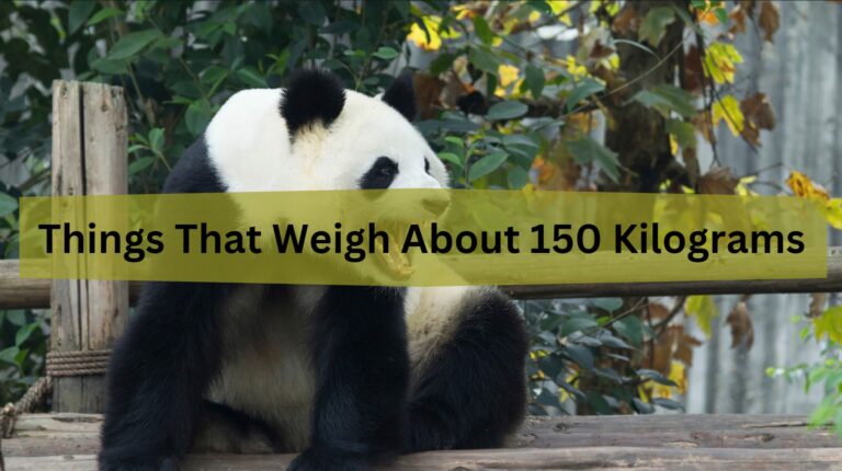 List of Common Things That Weigh 150 Kilograms