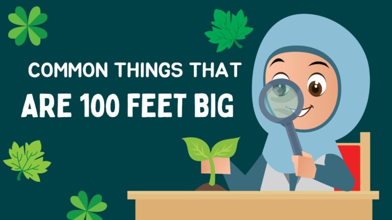Things That Are 100 Feet Big: 10 Common Things