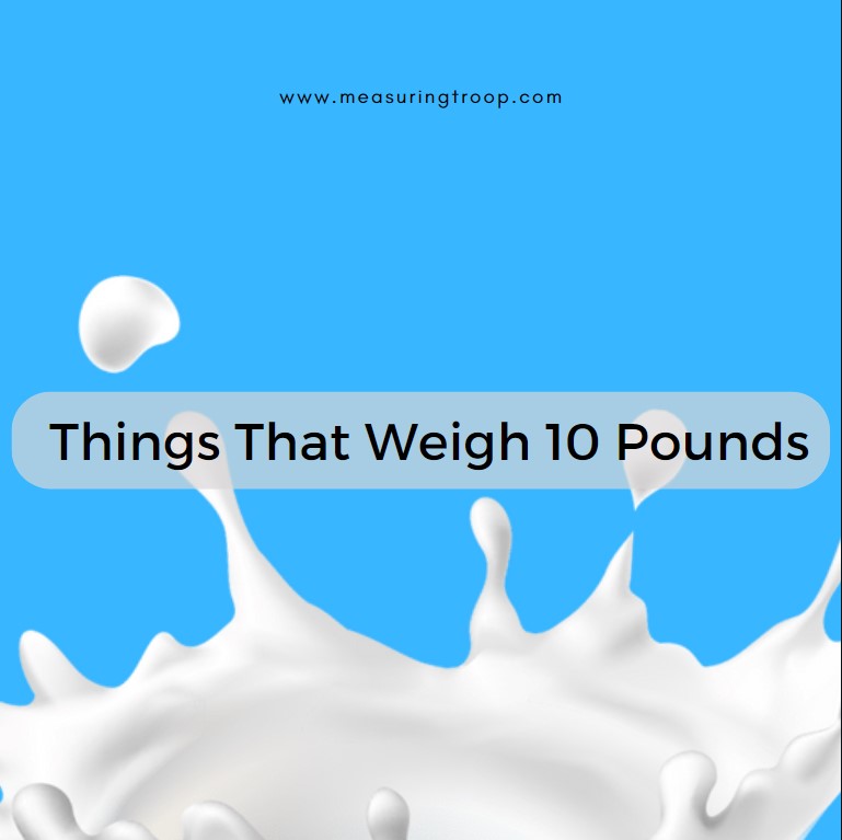 Things That Weigh 10 Pounds