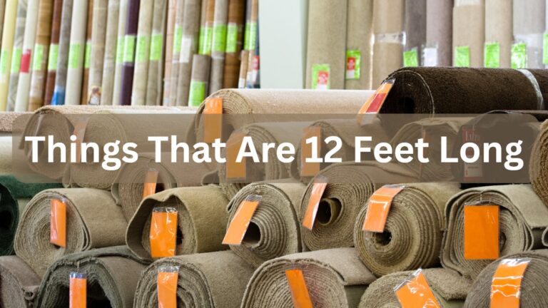 Things That Are 12 Feet Long: 9 Common Things