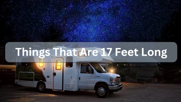 Things That Are 17 Feet Long: 9 Common Things