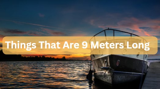 9 Amazing Things That Are 9 Meters Long