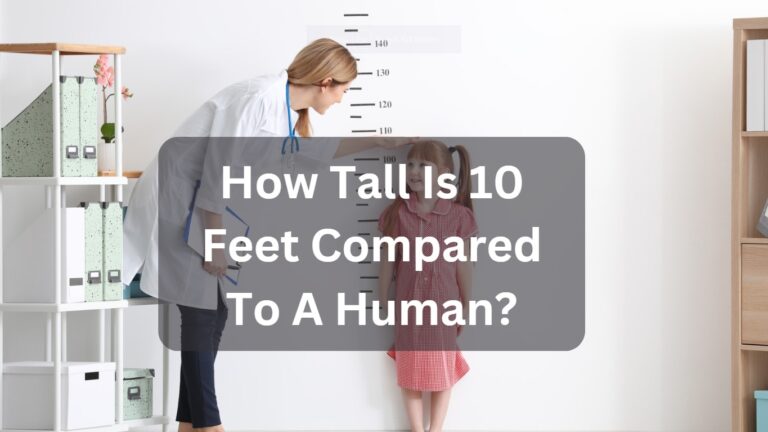 How Tall Is 10 Feet Compared To A Human?