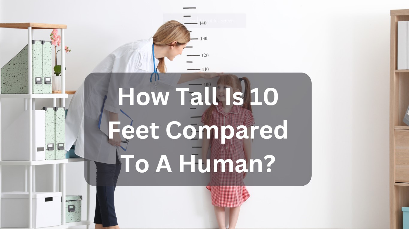 How Tall Is 10 Feet Compared To A Human