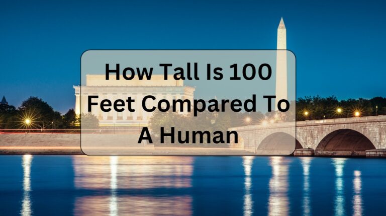 How Tall Is 100 Feet Compared To A Human?