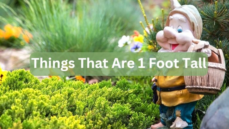 11 Things That Are 1 Foot Tall