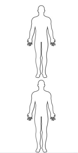 How Tall Is 10 Feet Compared To A Human