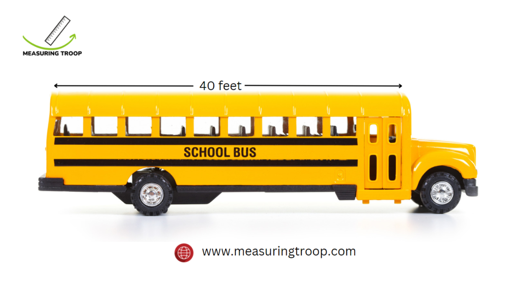 Length of a School Bus