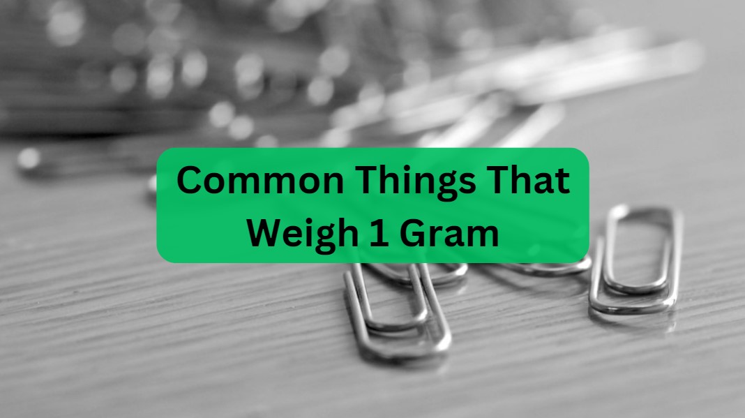 Common Things That Weigh 1 Gram