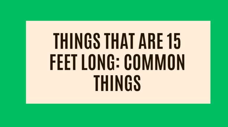 Things That Are 15 Feet Long: 13 Common Things
