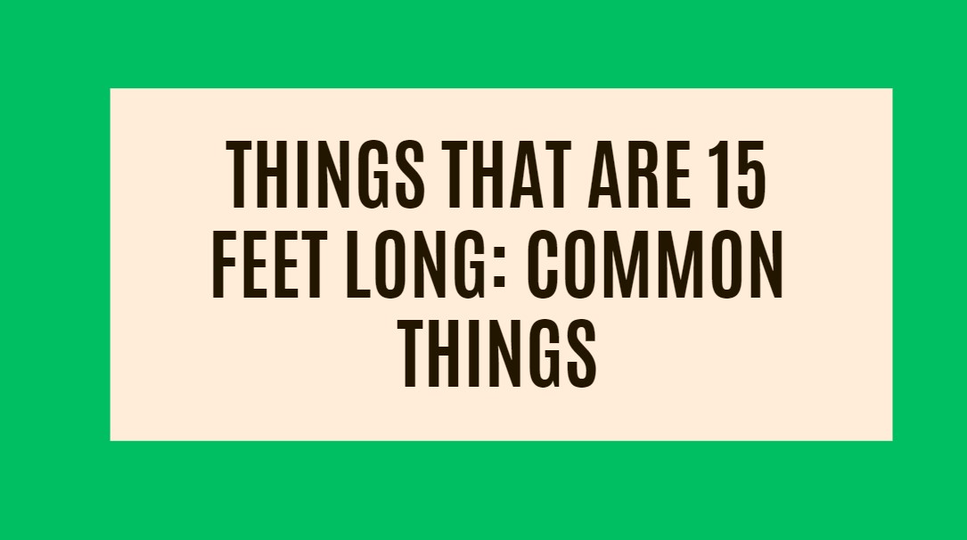 Things That Are 15 Feet Long