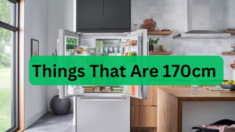 15 Common Things That Are 170cm