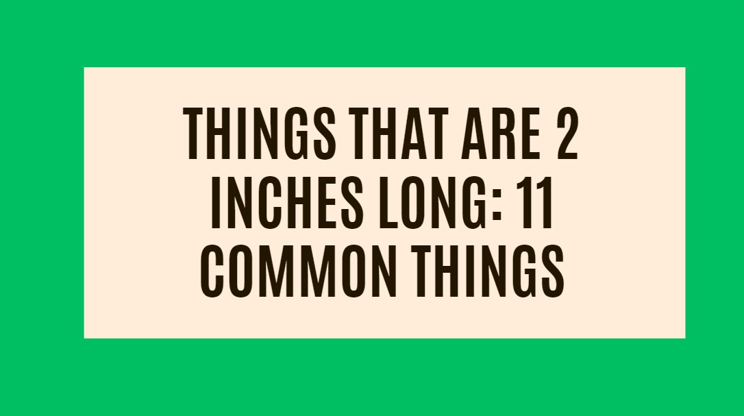 Things That Are 2 Inches Long