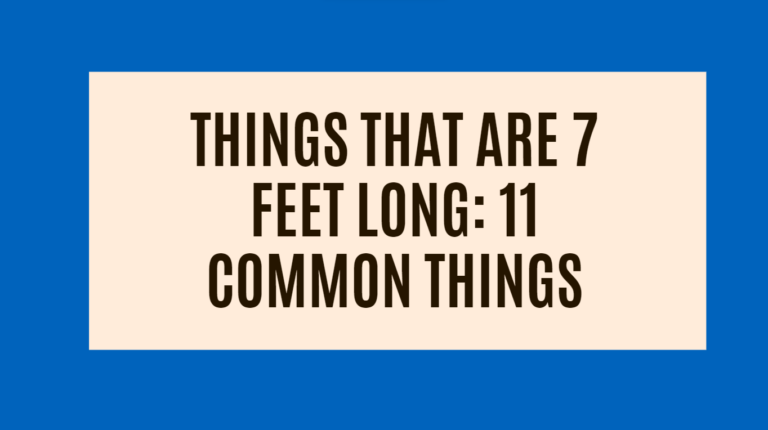 Things That Are About 7 Feet Long: 11 Common Things