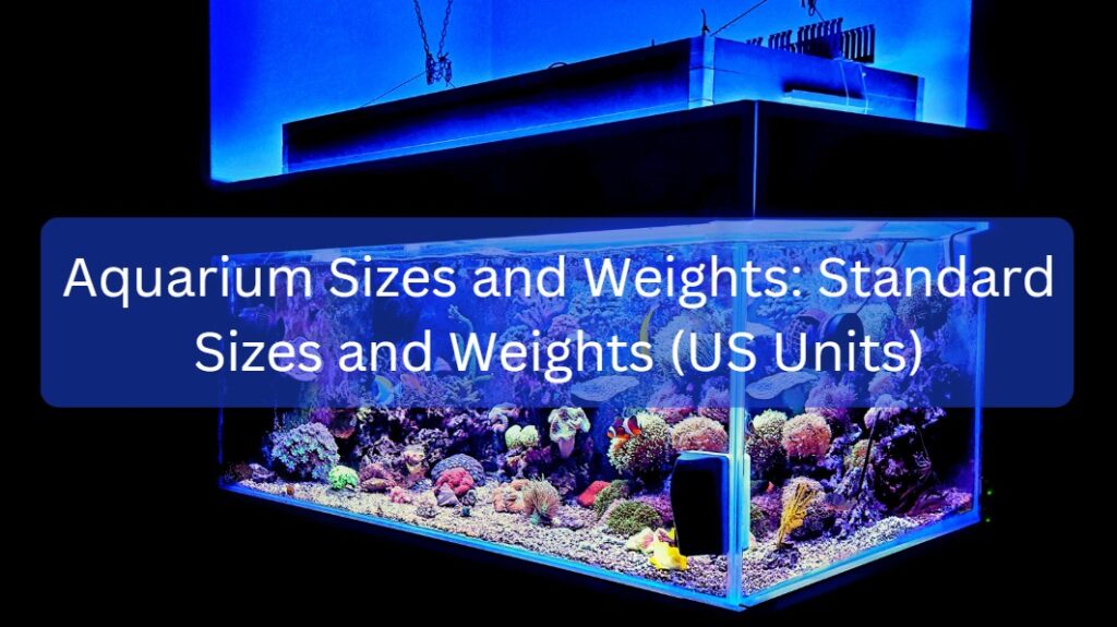 aquarium-sizes-and-weights-standard-sizes-and-weights-us-units