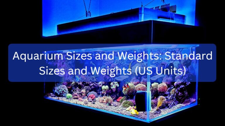 Aquarium Sizes and Weights: Standard Sizes and Weights (US Units)