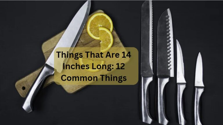 Things That Are 14 Inches Long: 12 Common Things