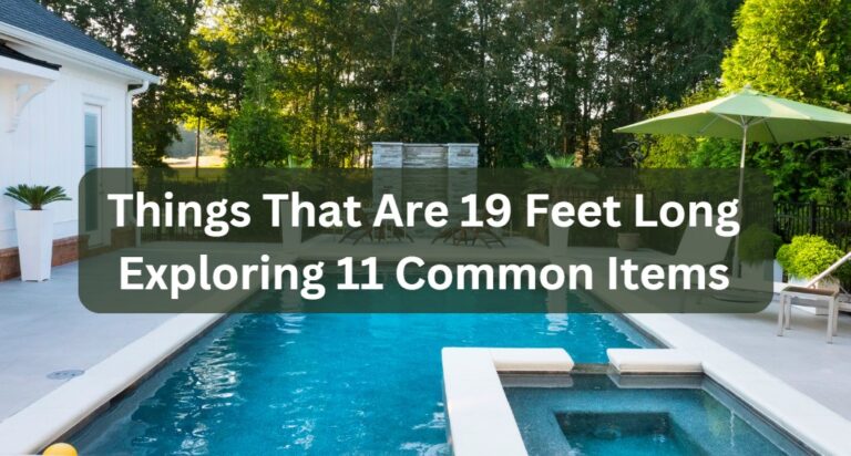 Things That Are 19 Feet Long: Exploring 11 Common Items