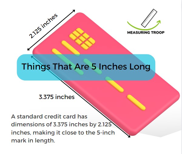 11 Common Things That Are 5 Inches Long