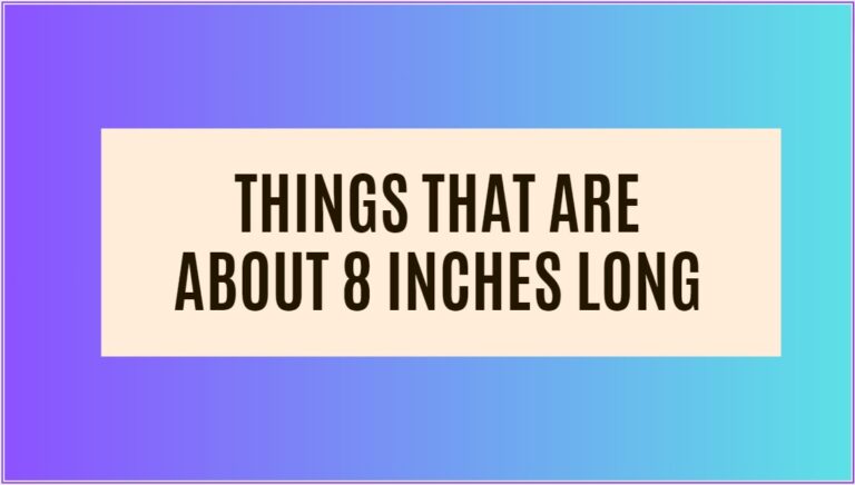 13 Common Things That Are 8 Inches Long: A Comprehensive Guide