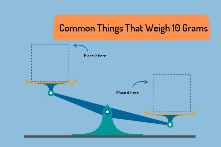 13 Common Things That Weigh 10 Grams