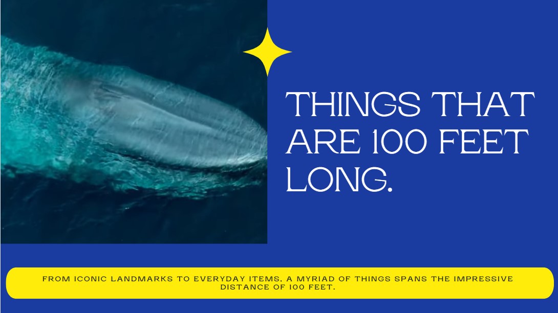 Things That Are 100 Feet Long 13 Common Things Measuring Troop