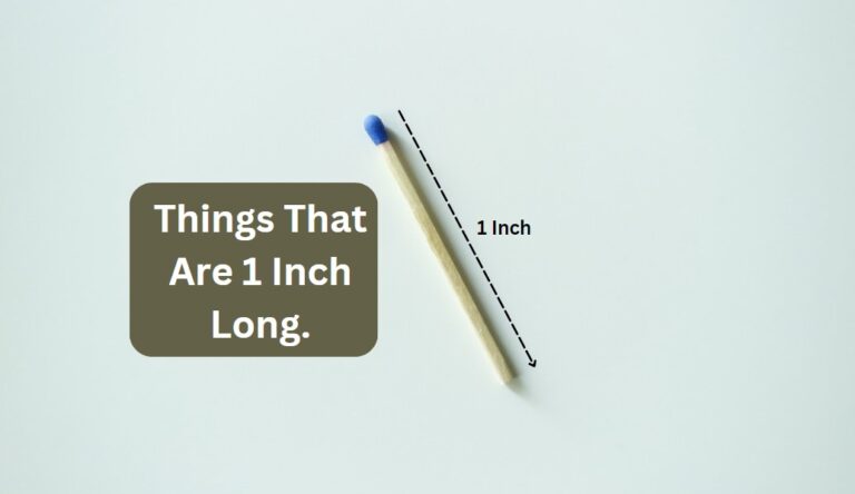 Things That Are 1 Inch Long: Exploring 9 Common Things