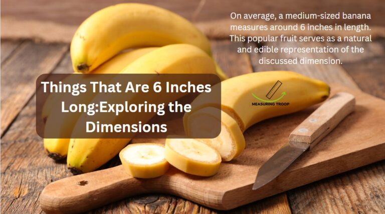 11 Things That Are 6 Inches Long: Exploring the Dimensions