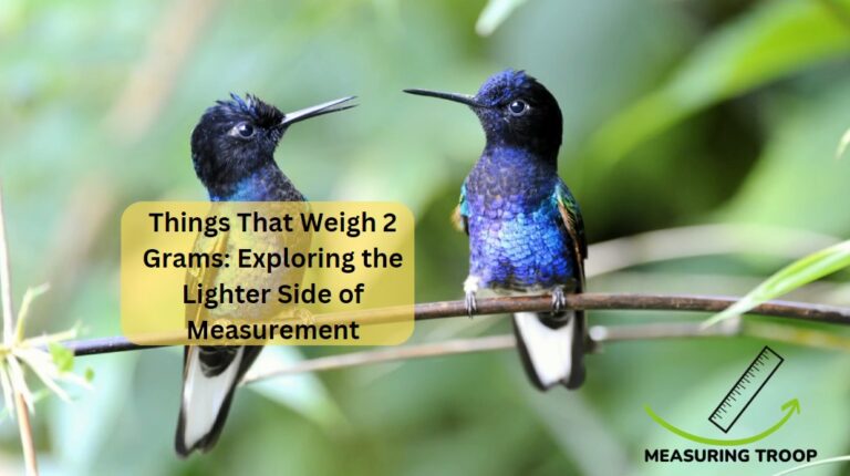 20 Things That Weigh 2 Grams: Exploring the Lighter Side of Measurement