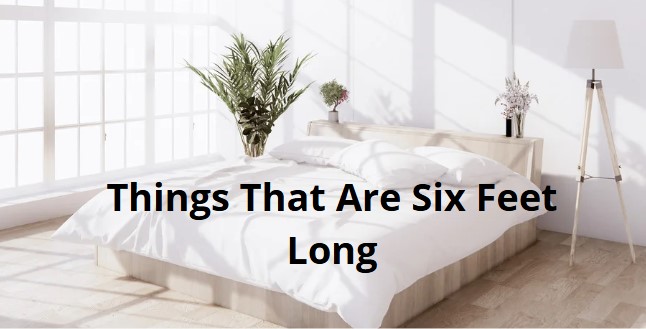 20 Incredible Things That Are Six Feet Long You Need to Know