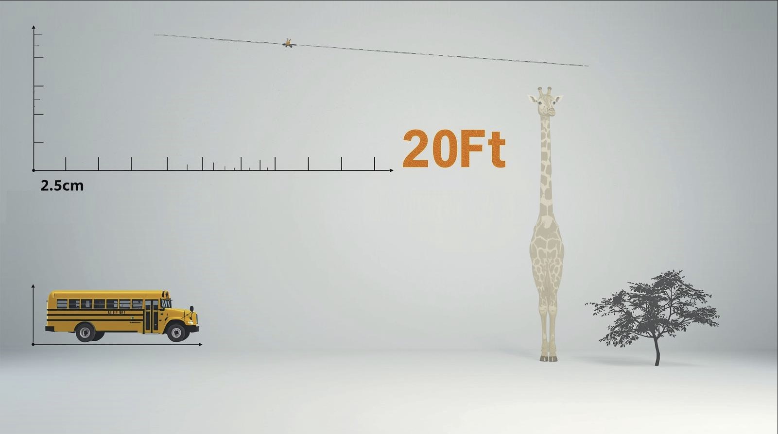 20 feet
