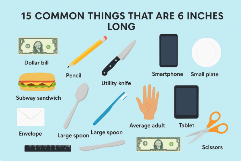 15 Common Things That Are 6 Inches Long: A Complete Guide with Real-Life Examples